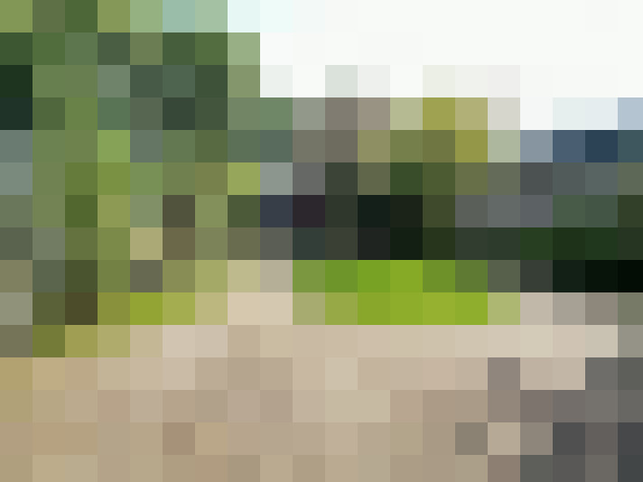 Image 25