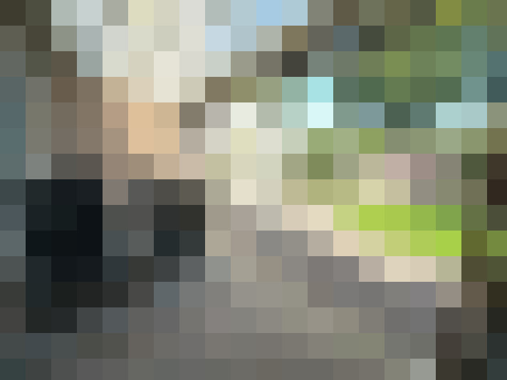 Image 20