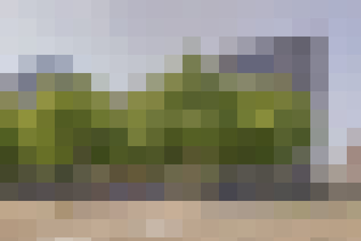 Image 20