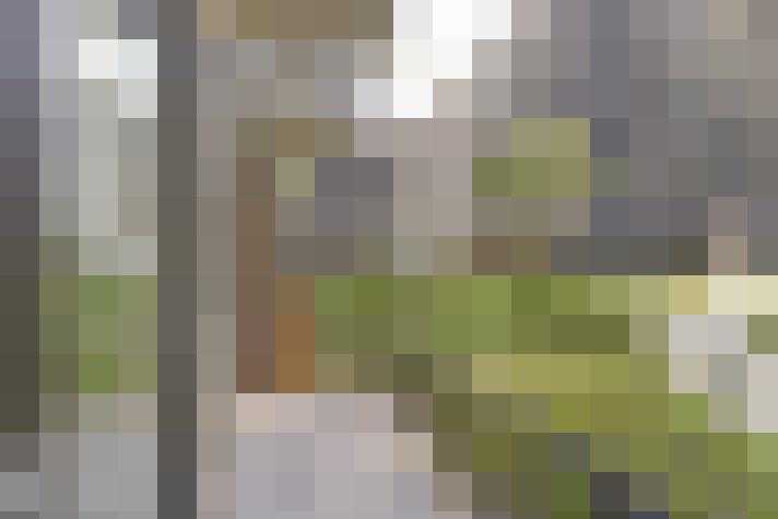 Image 13