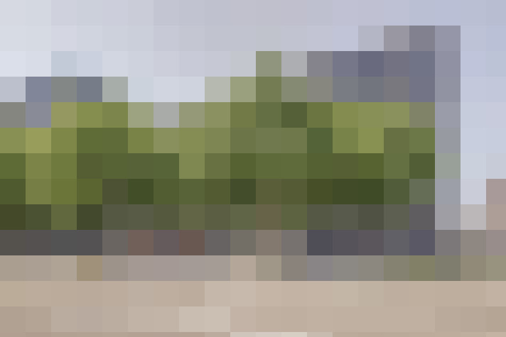 Image 26