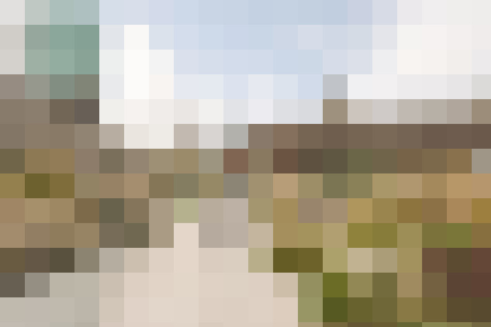 Image 41