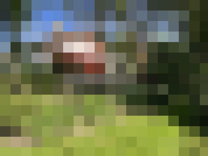 Image 38