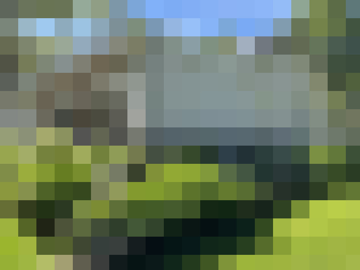Image 40