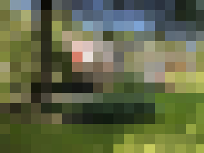 Image 39