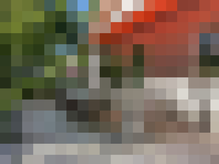 Image 30
