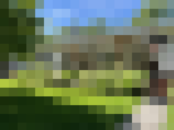 Image 43