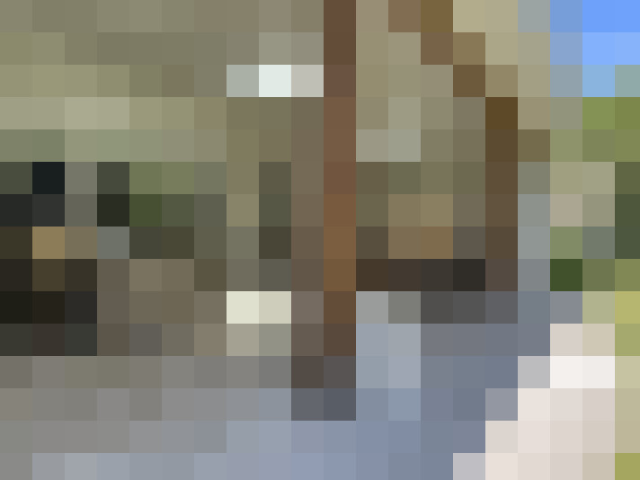 Image 31