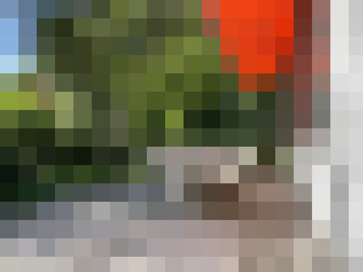 Image 29