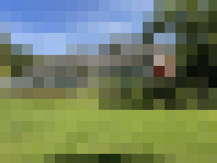 Image 44