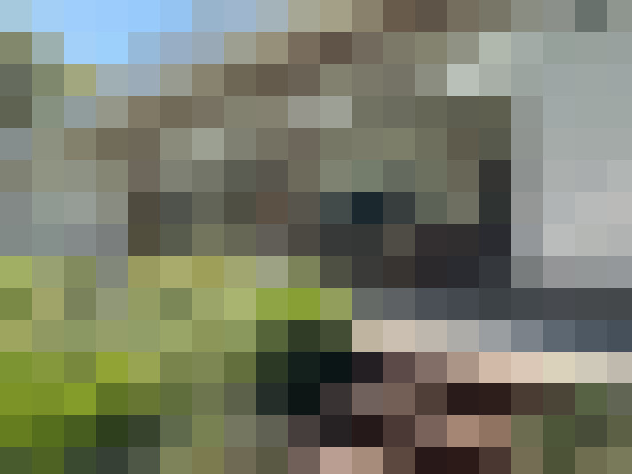 Image 36