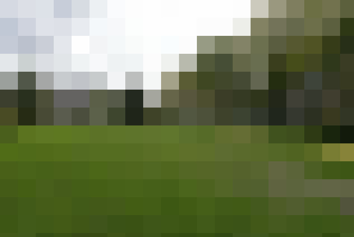 Image 24