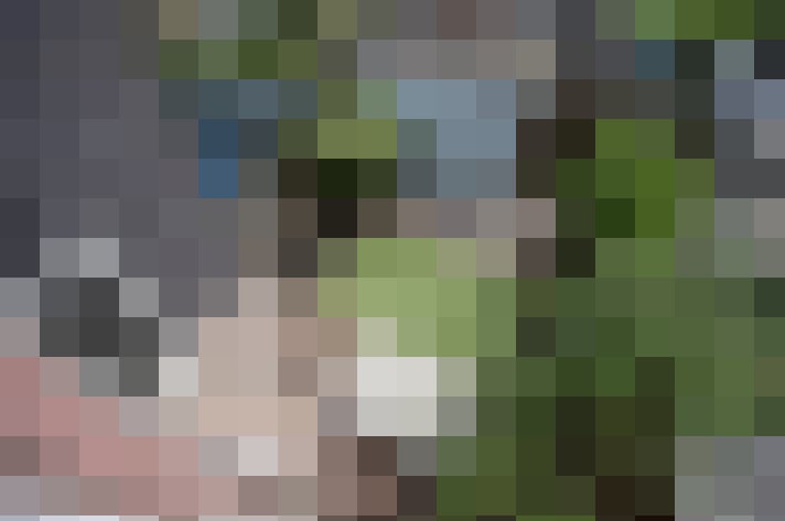 Image 15