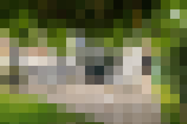 Image 36