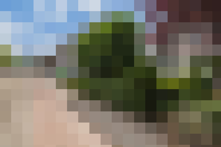 Image 40