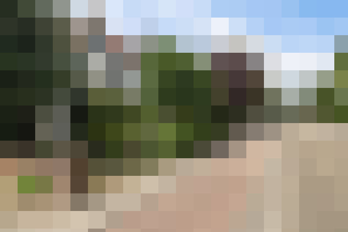 Image 39