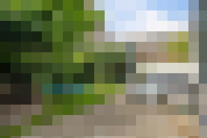 Image 33