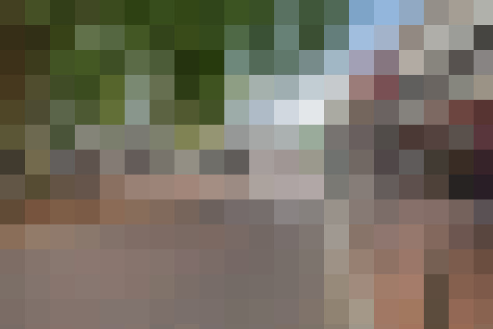 Image 38