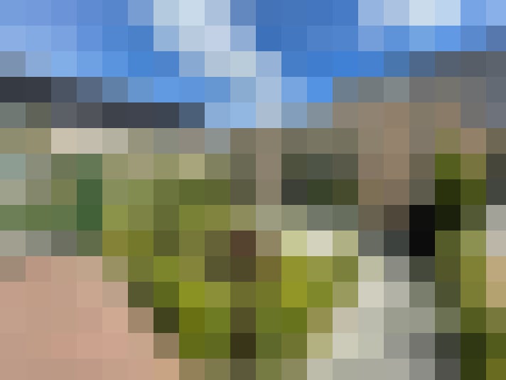 Image 20