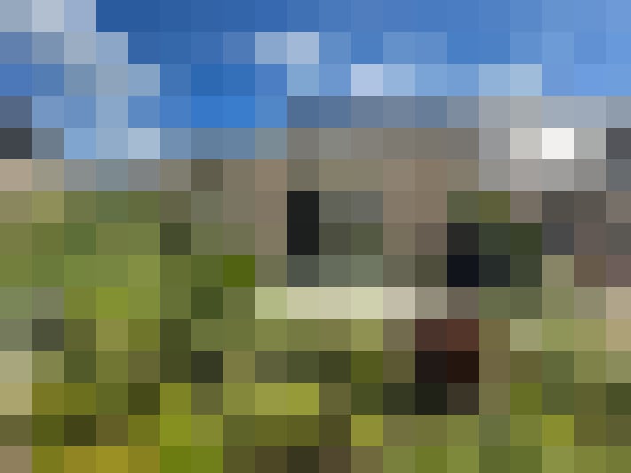 Image 21