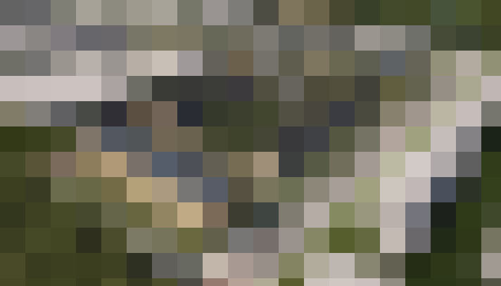 Image 23