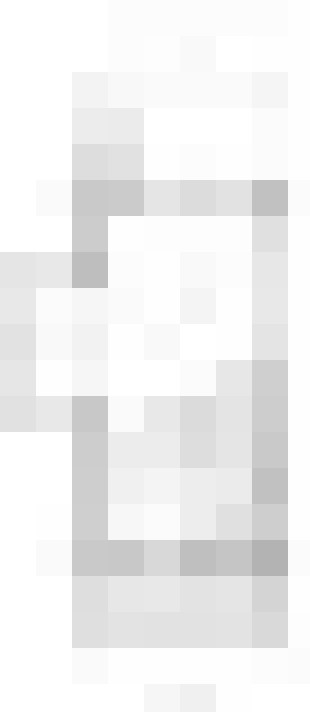 Image 30