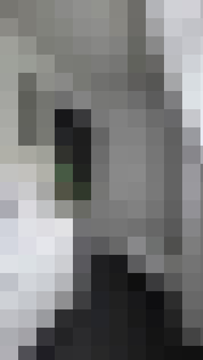 Image 29
