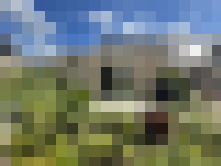Image 23
