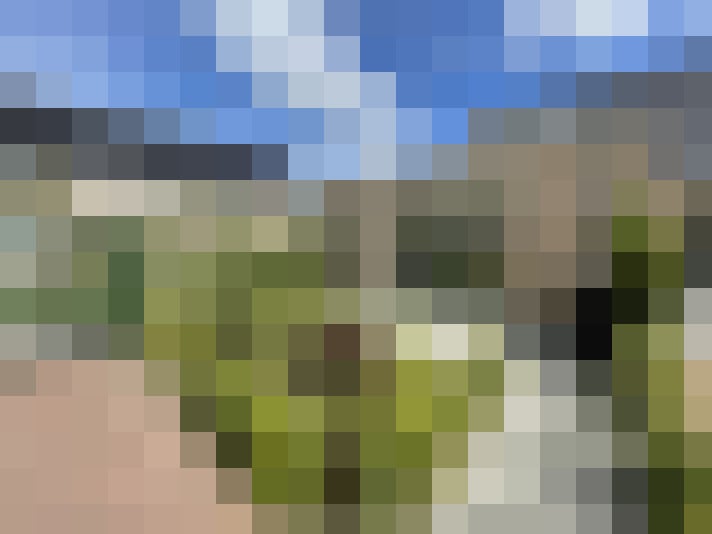 Image 22