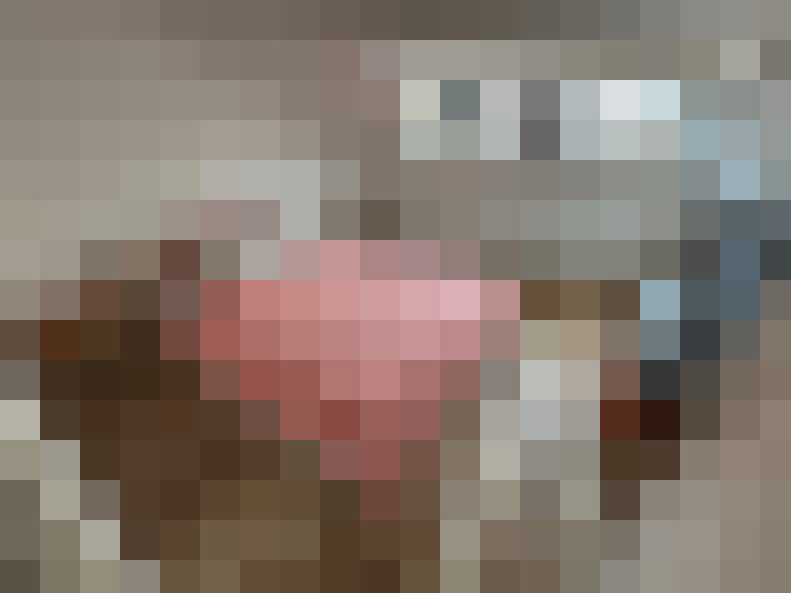 Image 14