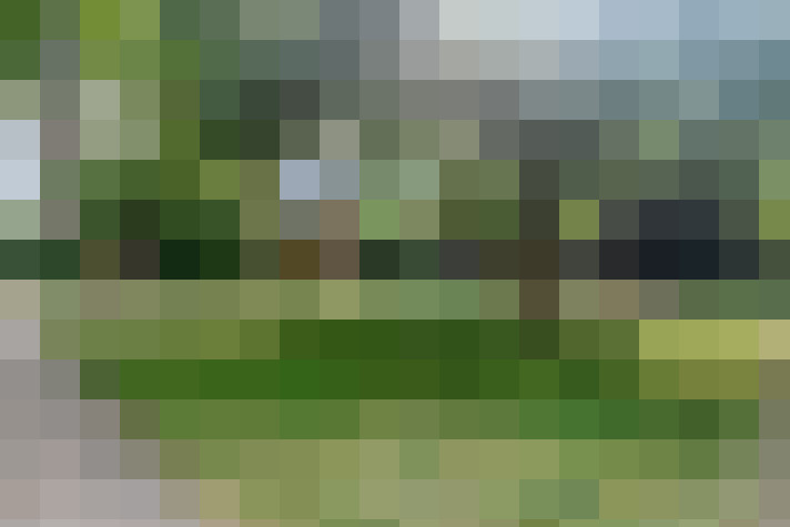Image 33