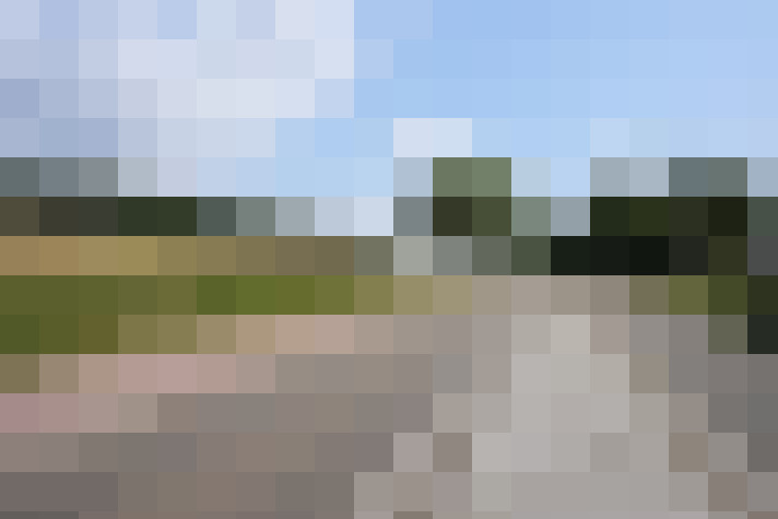Image 31