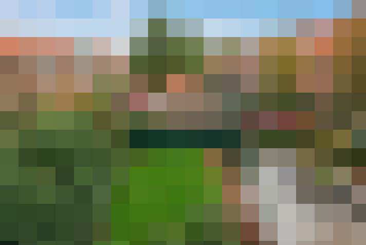 Image 44