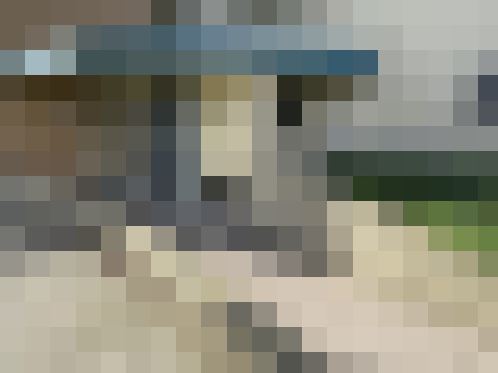 Image 24