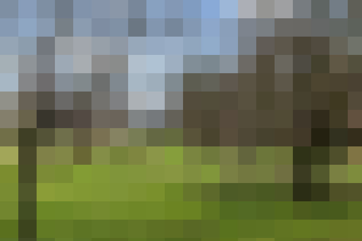 Image 17