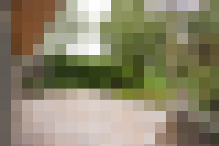 Image 40