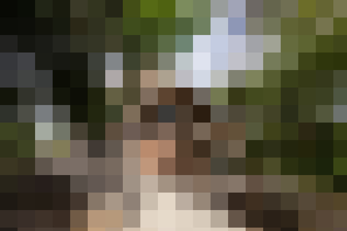 Image 65