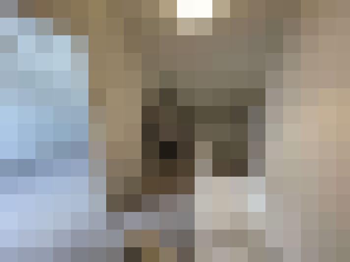 Image 28