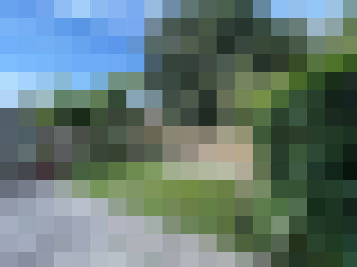 Image 14