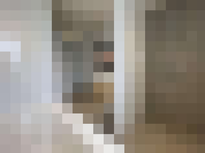 Image 22