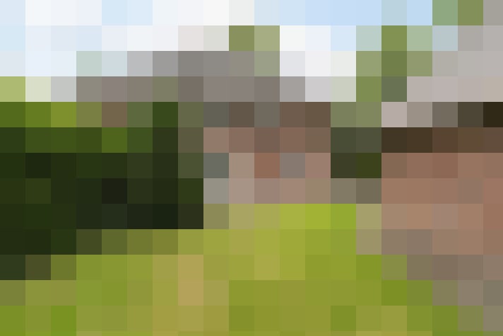 Image 40
