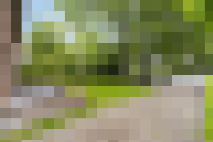 Image 41
