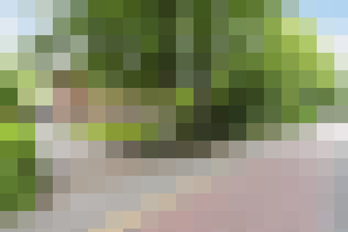 Image 42
