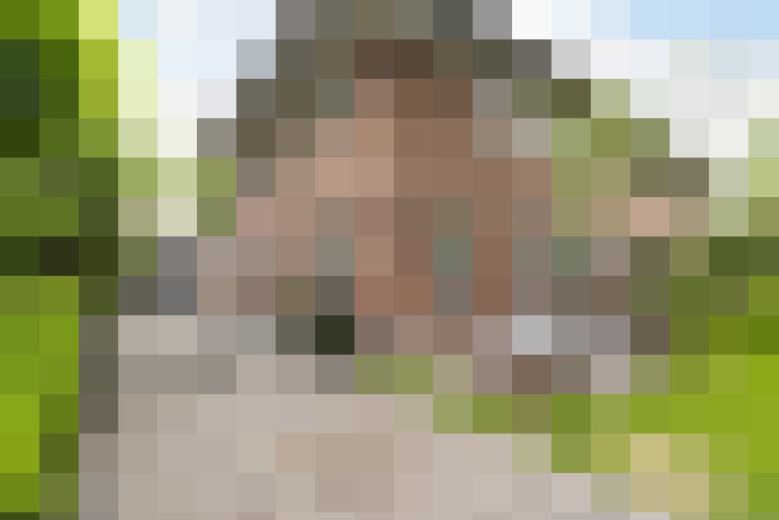 Image 37