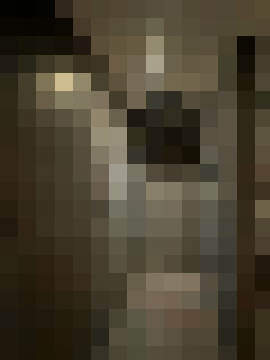 Image 27