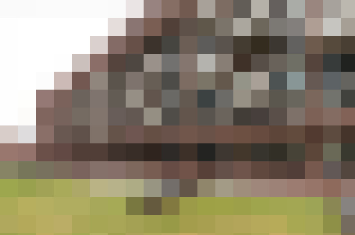 Image 33