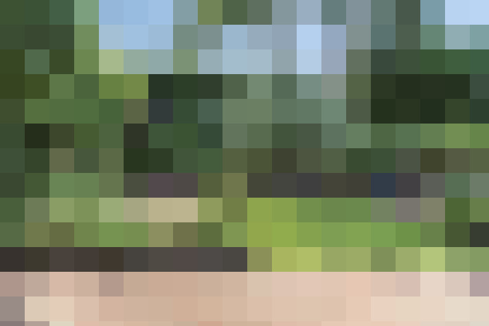 Image 41