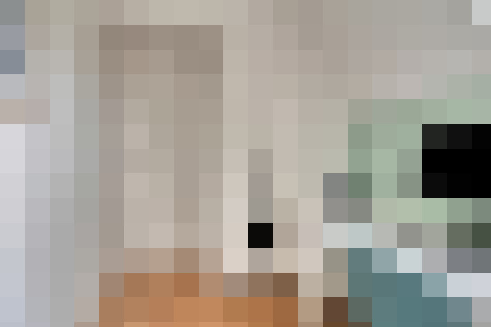 Image 29