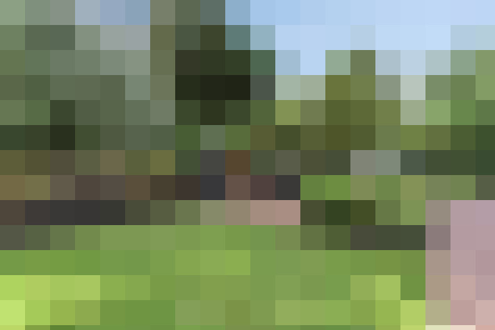 Image 39