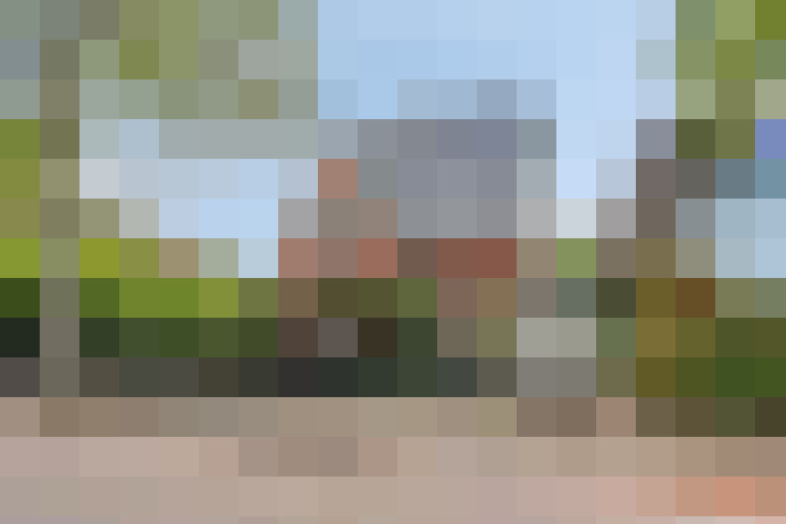Image 42